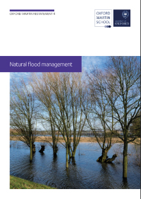 buku natural flood