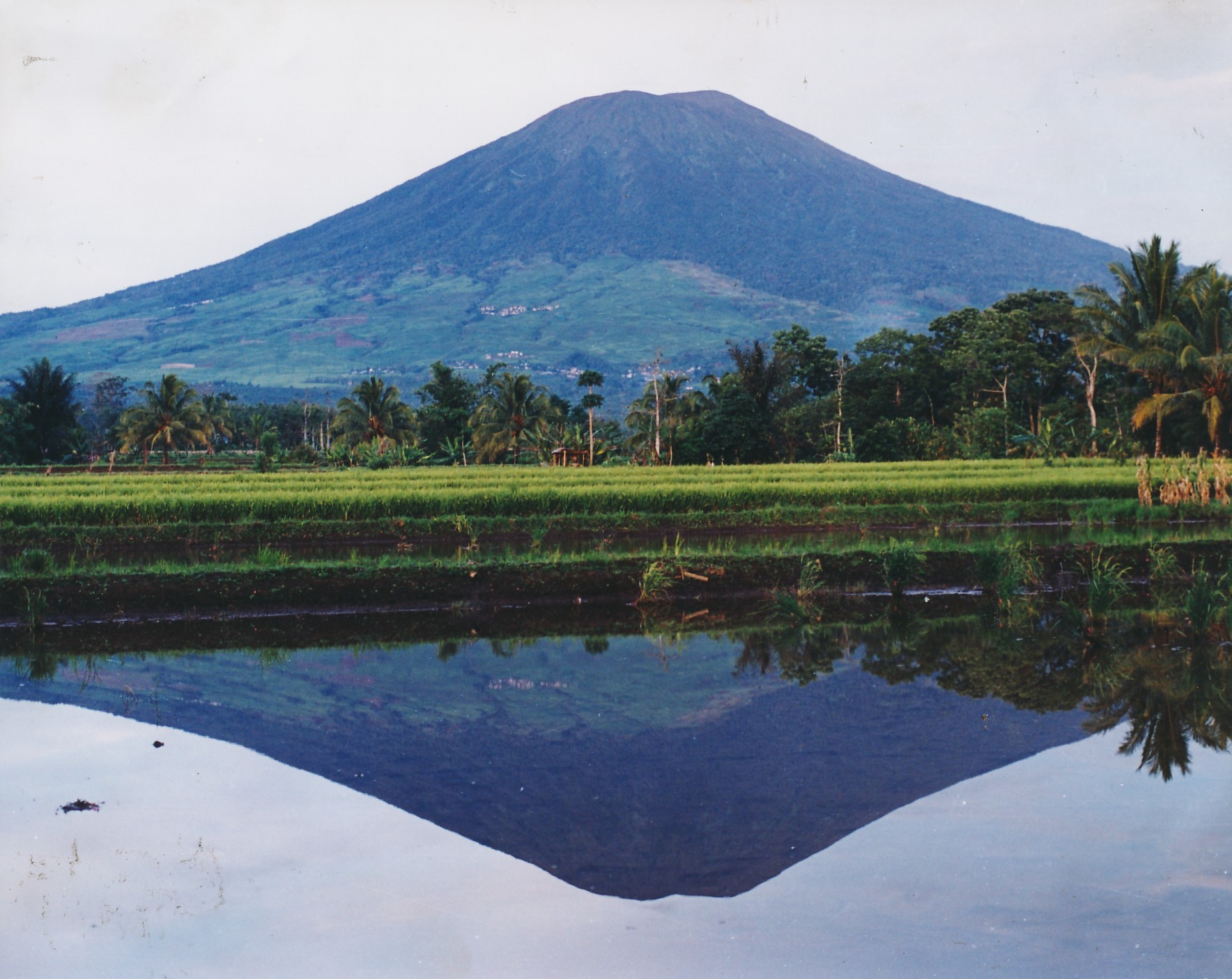 Waspada Siklus Letusan Freatik Gunung Dempo